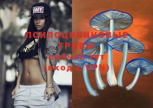 крисы Алексеевка